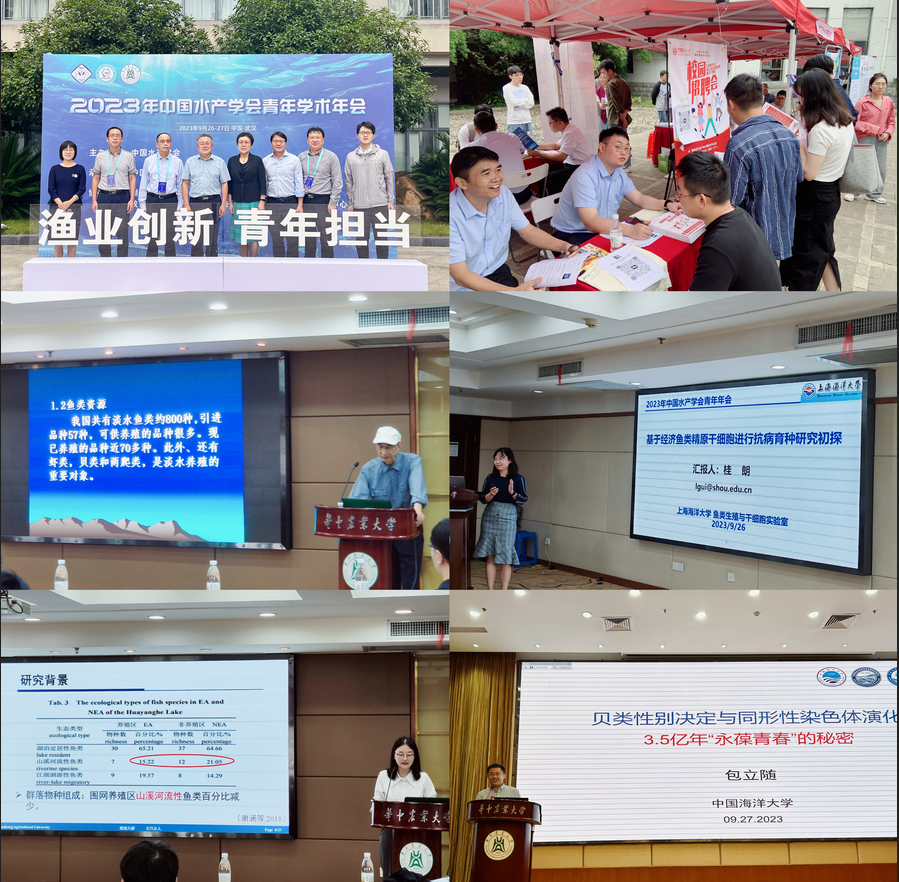 截圖_選擇區(qū)域_20231008142204.png